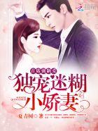 首席强制爱:独宠迷糊小娇妻 首席强制爱:独宠迷糊小娇妻